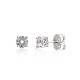Arracades plata  camaleoni wp010/075