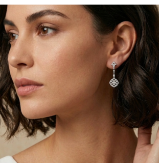 Arracades plata de llei i...