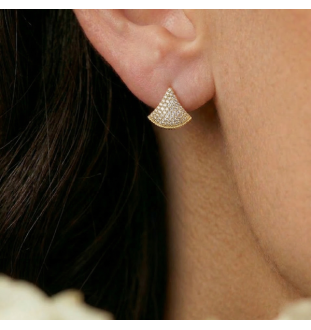 Arracades plata llei i...