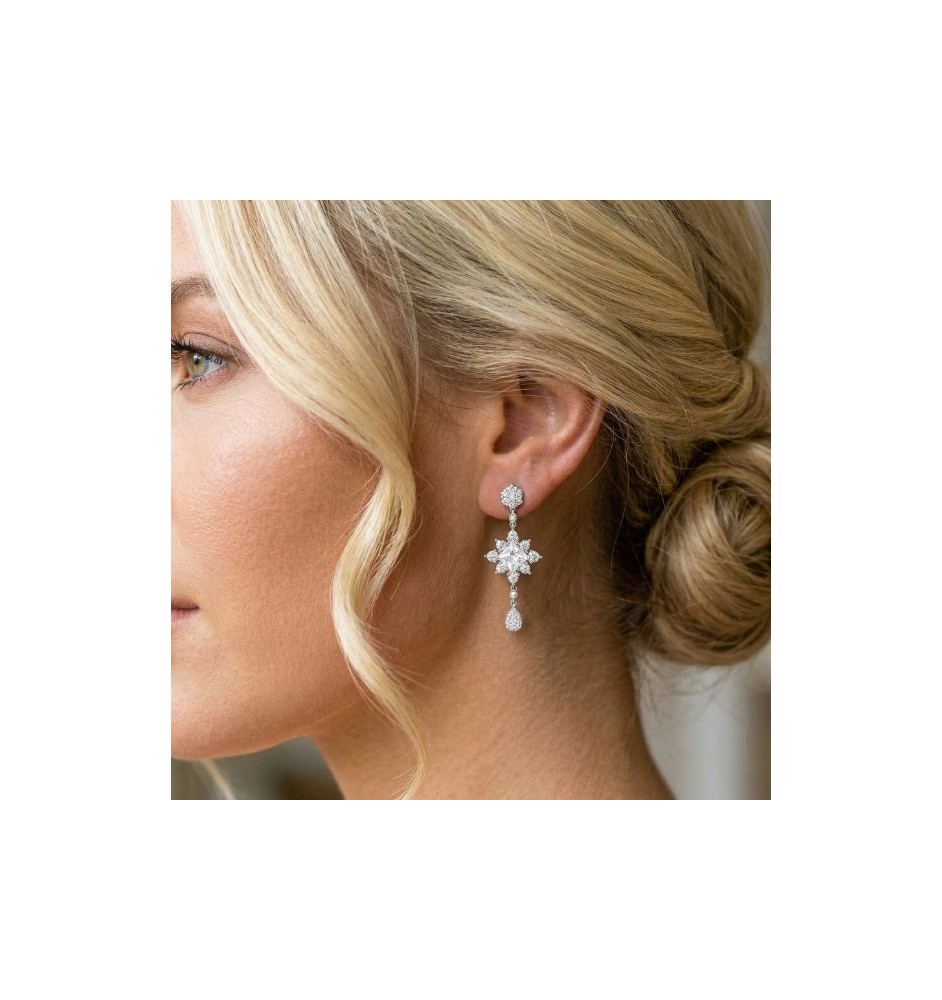 Arracades plata de llei i circonites Camaleoni wp089/lp