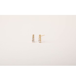 Arracades plata de llei daurats amb circonites 5574CH